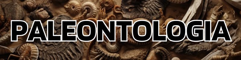 Ficheiro:Paleontology header Portuguese.png