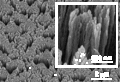 Thumbnail for version as of 22:33, 14 December 2009