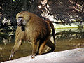 Thumbnail for version as of 03:23, 26 February 2010