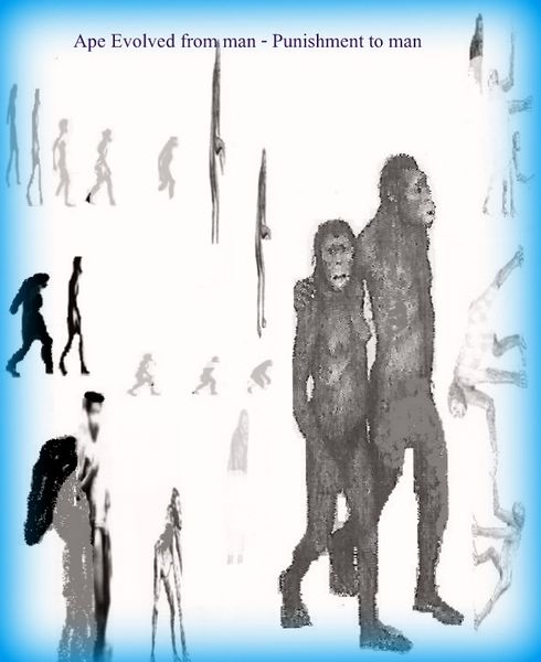 File:Ape-from-Man.jpg