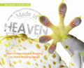 Thumbnail for version as of 22:01, 25 May 2013