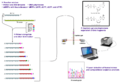 Thumbnail for version as of 07:16, 9 May 2016