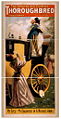 Thumbnail for version as of 05:26, 5 December 2008