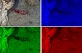 Thumbnail for version as of 03:38, 22 October 2008