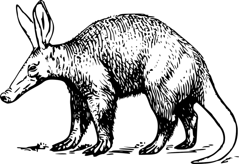 File:Aardvark-37587 1280.png