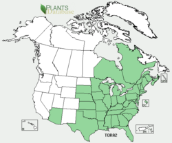 Distribution Map.png