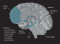 Thumbnail for version as of 00:49, 18 February 2011