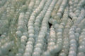 Thumbnail for version as of 21:50, 28 October 2007