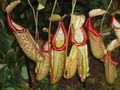 Thumbnail for version as of 00:08, 13 May 2014