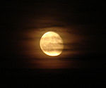 DSC01104 edited.JPG