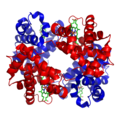 Thumbnail for version as of 01:30, 26 December 2009