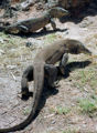 Thumbnail for version as of 20:02, 14 November 2006